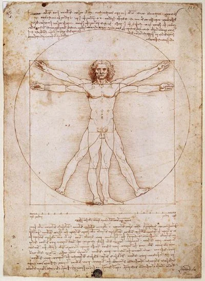 Der vitruvianische Mensch, eine Proportionsstudie des menschlichen Körpers von Leonardo da Vinci